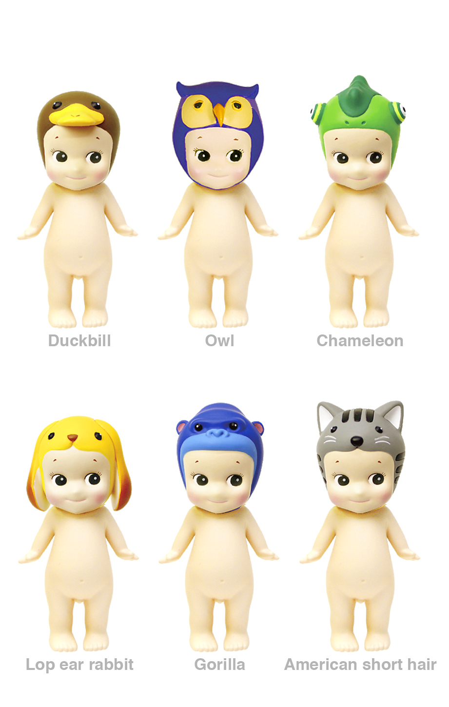 Animal 3